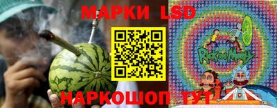 крисы Будённовск