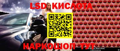 СК Донской