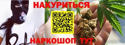 крисы Будённовск