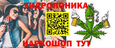 крисы Будённовск