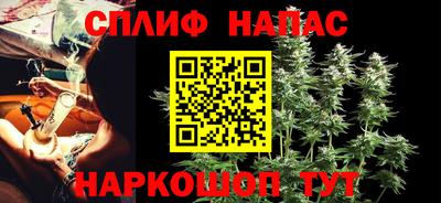 крисы Будённовск