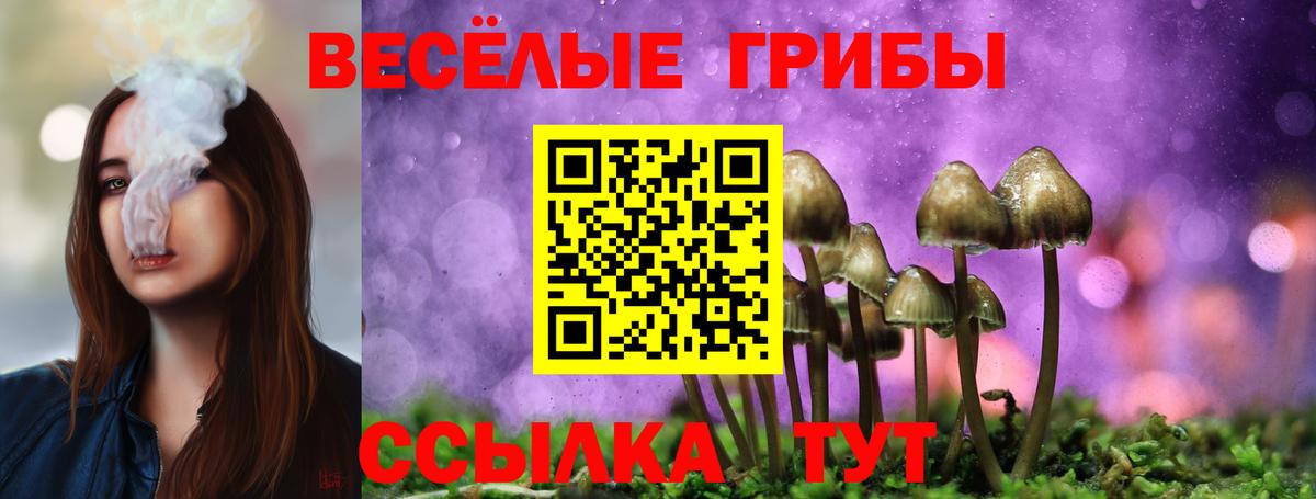 Псилоцибиновые грибы мухоморы  Галлюциногенные грибы Psilocybine cubensis  Октябрьский  Вход с VPN 